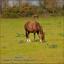 Image 000000581929